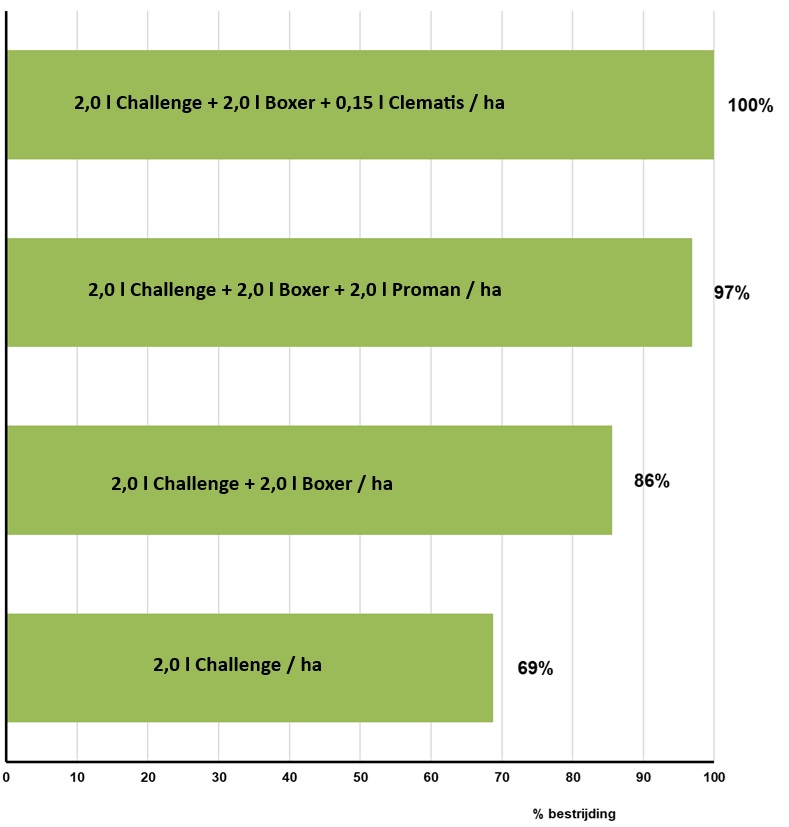 challenge grafiek 2.jpg